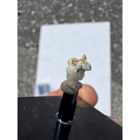 Gold on Quartz - Natural California Gold Specimen in Perky Display Box - #1 - Picture 3 of 6